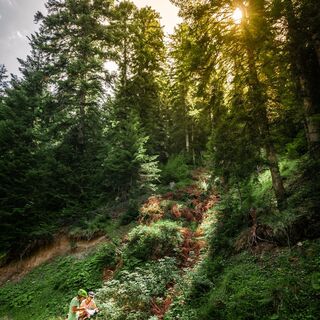 Mountainbiker im Schwarzen Wald