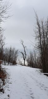 Foto de Georg B. Meier a lo largo del recorrido
