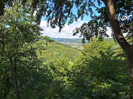 Fotografie z Hermann E. na trase