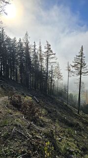 Fotografia z Emillie Gessert na trase