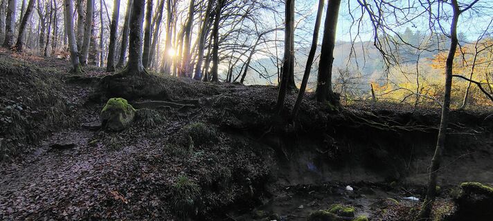 Photo de Ilja van Buren le long du parcours