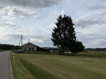 Foto von Schaali entlang der Tour
