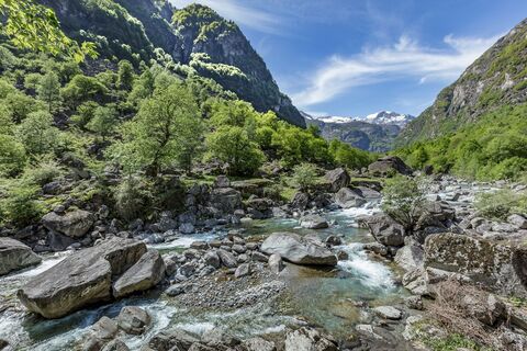 Val Bavona