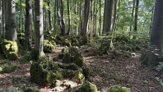 Foto de Jörg Lengenfelder a lo largo del recorrido