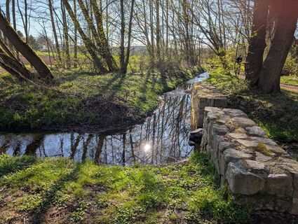 Photo de Jan Reinhardt le long du parcours