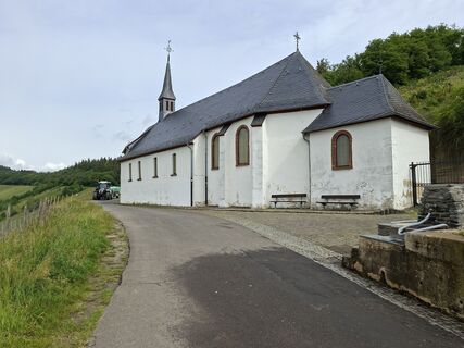 Foto von Mayer entlang der Tour
