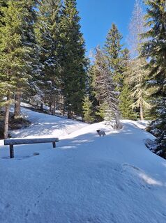 Foto von Dagmar Hofer entlang der Tour