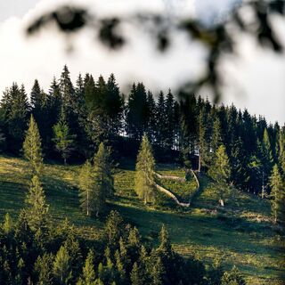 Ausblick zum Müllerfuchs