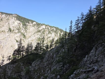 Fotografija s spletne strani GerhardAho na poti