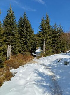 Fotografie z poettl na trase
