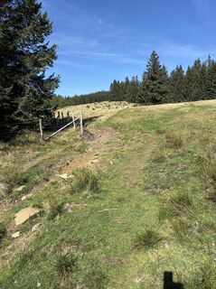 Photo de Reinhard Frewein le long du parcours