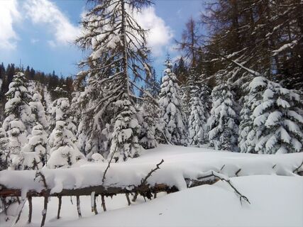 Wintertraum