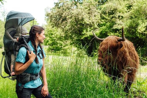Besuch bei den Rindern auf dem Grenzgänger