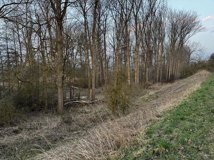 Donauwörth Gehen am morgen bei Sonnenaufgang