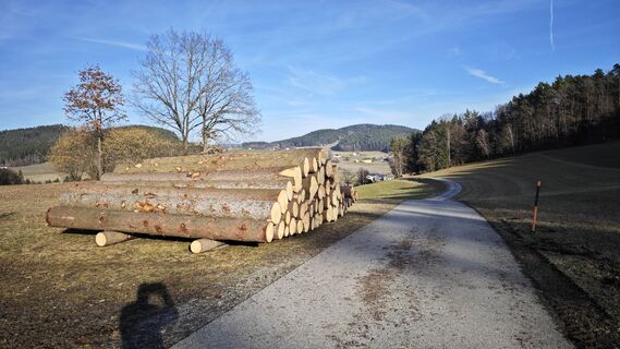 Fotografie z prager64 na trase