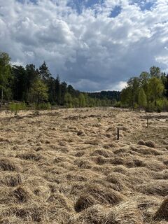 Photo de Lothar le long du parcours