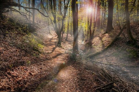 Mystische Landschaft