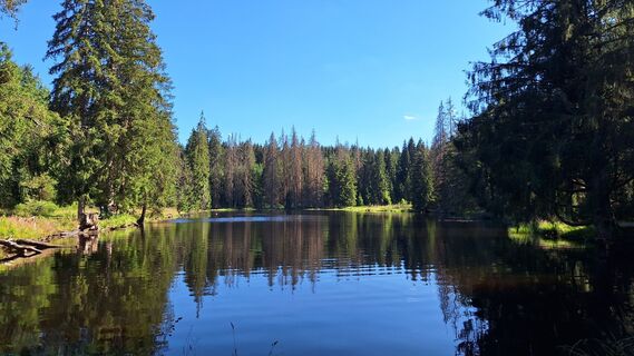 Fotografija s spletne strani Steffi S. na poti