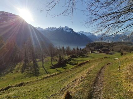 Fotografia z luyyy na trase