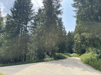 Foto von Heinz Sperl entlang der Tour