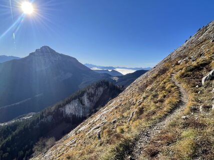 Fotografija s spletne strani Guillaume Condat na poti