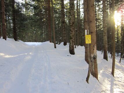 Schneeschuh- &amp; Skitourentrail Hütteneck in Bad Goisern am Hallstättersee