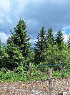 Fotografia z johan Van de Velde na trase