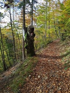 Foto fra Wanderkatze undervejs på turen