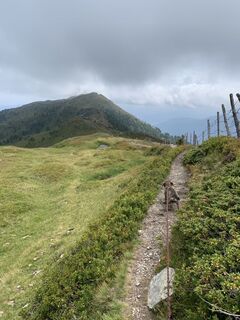 Foto von Koen De Wit entlang der Tour