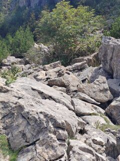 Foto von U Kirschstein entlang der Tour