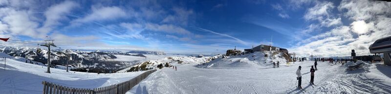 Fotografia z Claas S na trase