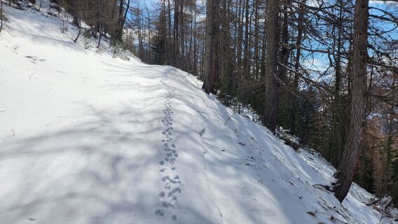 Foto de Ewald Szabo a lo largo del recorrido
