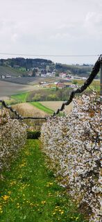 Foto von Klaus Lehner entlang der Tour