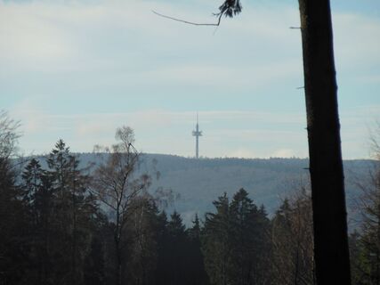 Sicht von Platte auf Hohe Wurzel