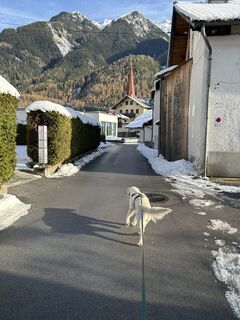 Zdjęcie z Bene Schadel wzdłuż trasy
