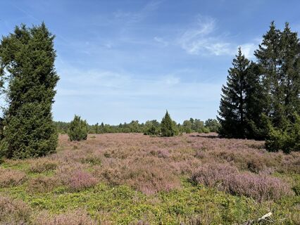 Foto de Georg Barzel a lo largo del recorrido