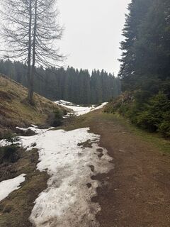 Foto von Markus Wältl entlang der Tour