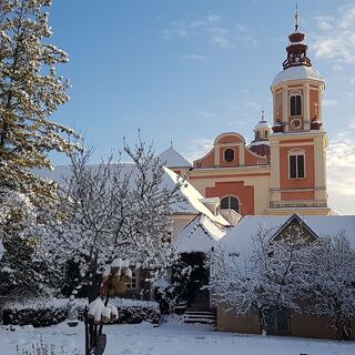 Schloßpark im Winter, Blick Pfarre Pöllau in der Oststeiermark