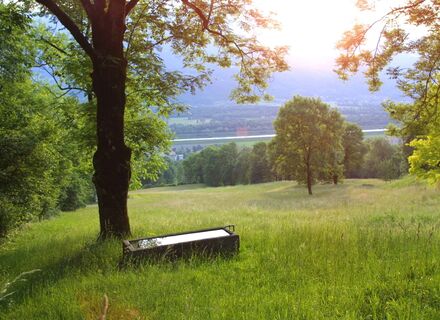 Bei der Säga in Triesen