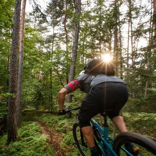 MTB Trail in Südkärnten