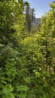 Photo de Erwin01 le long du parcours