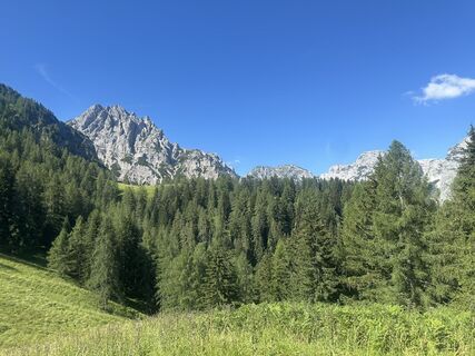 Fotografija s spletne strani Martin na poti