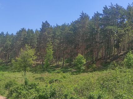 Fotografija s spletne strani Làszló Visi na poti