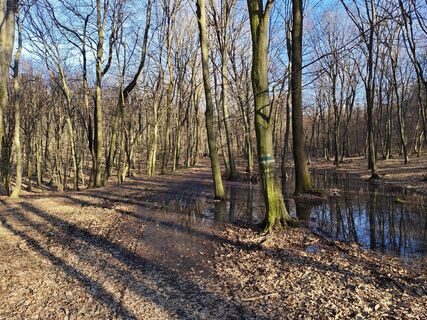 Photo de Christian Klauda le long du parcours