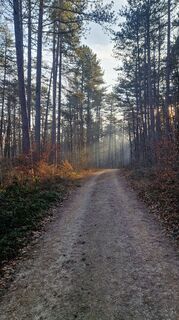 Foto von Claudia Maurer entlang der Tour
