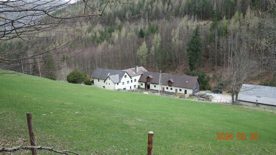 Aufstieg am Hanselsteig