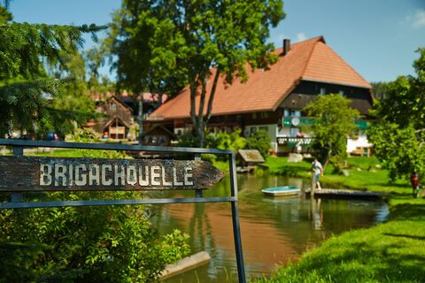 Brigachquelle