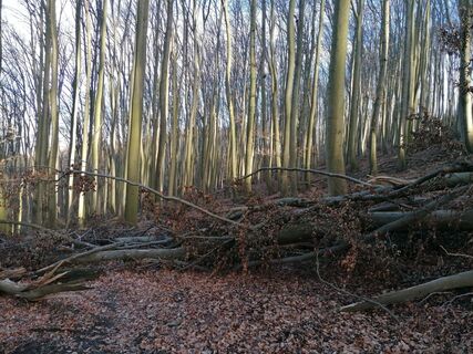 Fotografia z Dragoljub Ilic na trase