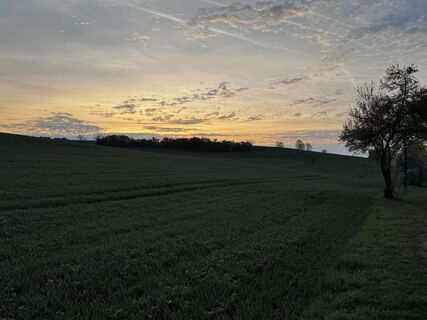Fotografia z Schaali na trase