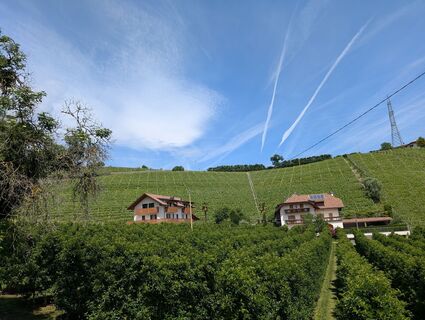 Foto de Marcel Zielinski a lo largo del recorrido